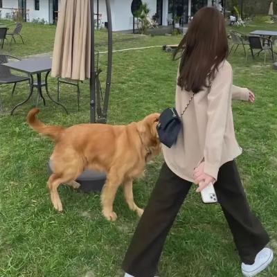 逃亡的女孩